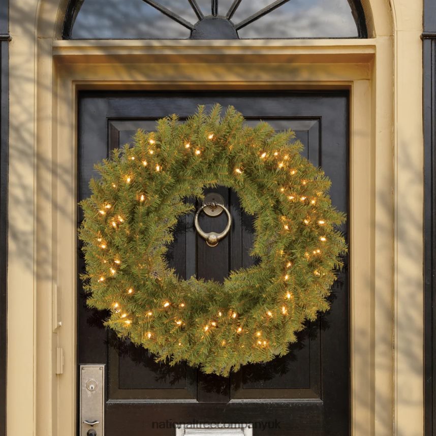 Greenery | National Tree Company Pre-Lit Artificial Christmas Wreath Norwood Fir with Twinkly LED Lights Plug in 30 in F2L4F288